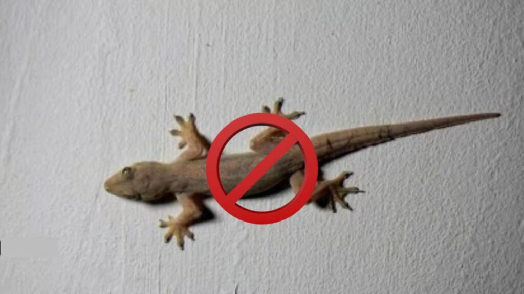smells lizards hate