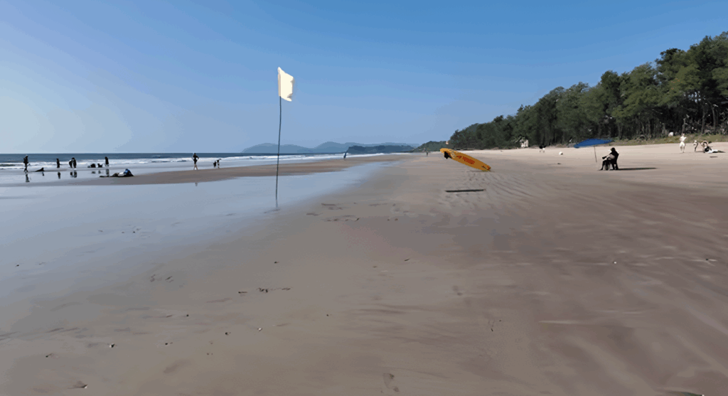 Explore South Goa: A Peaceful Beach Paradise to Enjoy Great Ocean Views, Soulful Cuisine and Goan Culture