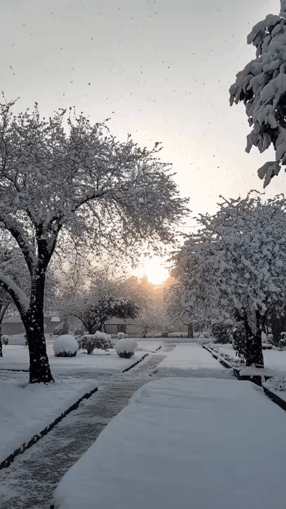 Ground frost in Lambasingi during December 2025 cold wave.